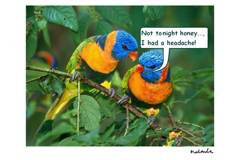 Cartoon of the Week: Not Tonight Honey.., I Had A Headache!