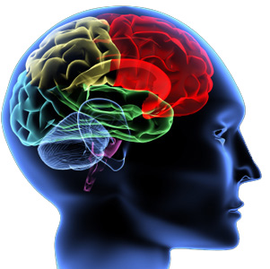 Brain Damaging Habits