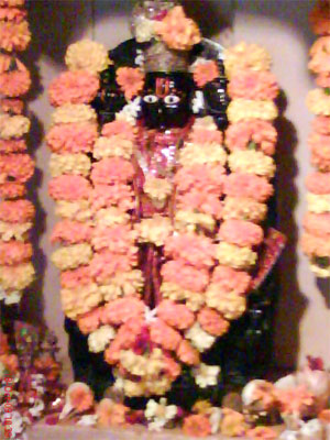 Celebrations of Ankot Mahotsav - Devendra Naginbhai Patel