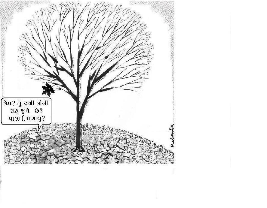 Cartoon of the Week:Fall By Mahendra Shah